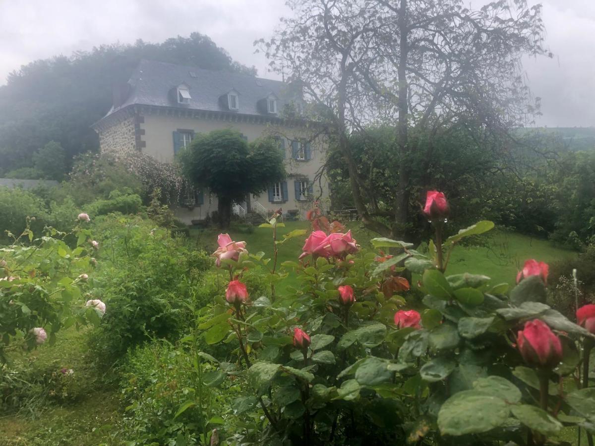 Le Figarelou Bed and Breakfast Thiézac Eksteriør billede
