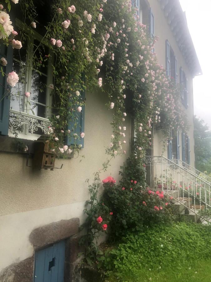 Le Figarelou Bed and Breakfast Thiézac Eksteriør billede