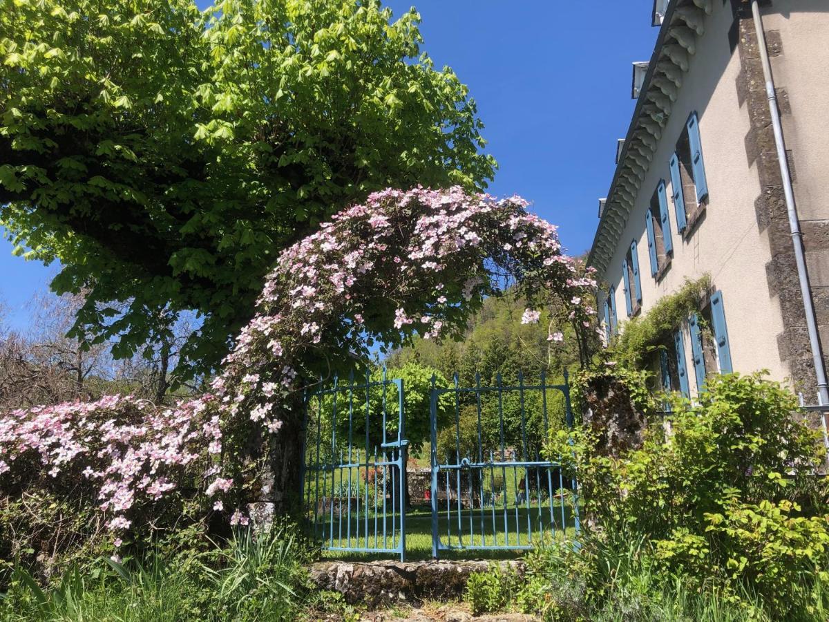 Le Figarelou Bed and Breakfast Thiézac Eksteriør billede