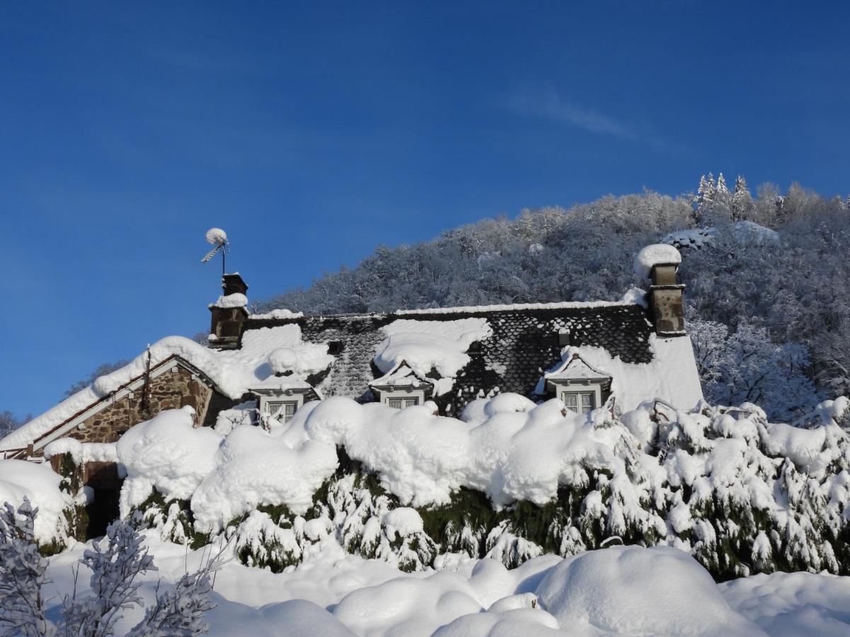Le Figarelou Bed and Breakfast Thiézac Eksteriør billede